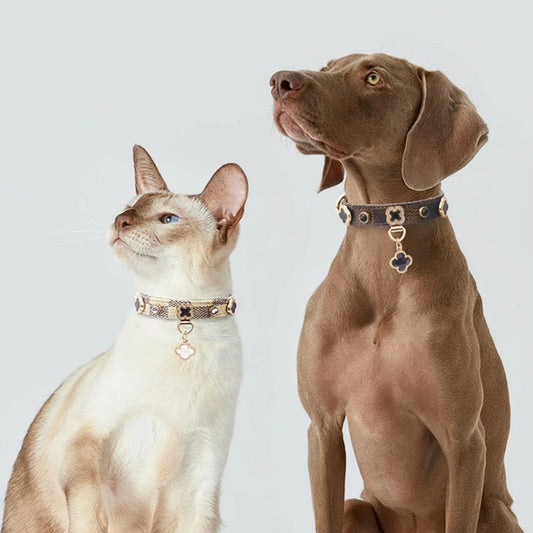 Collier Trèfle Porte-Bonheur pour Chat et Chien - Cuir Ajustable